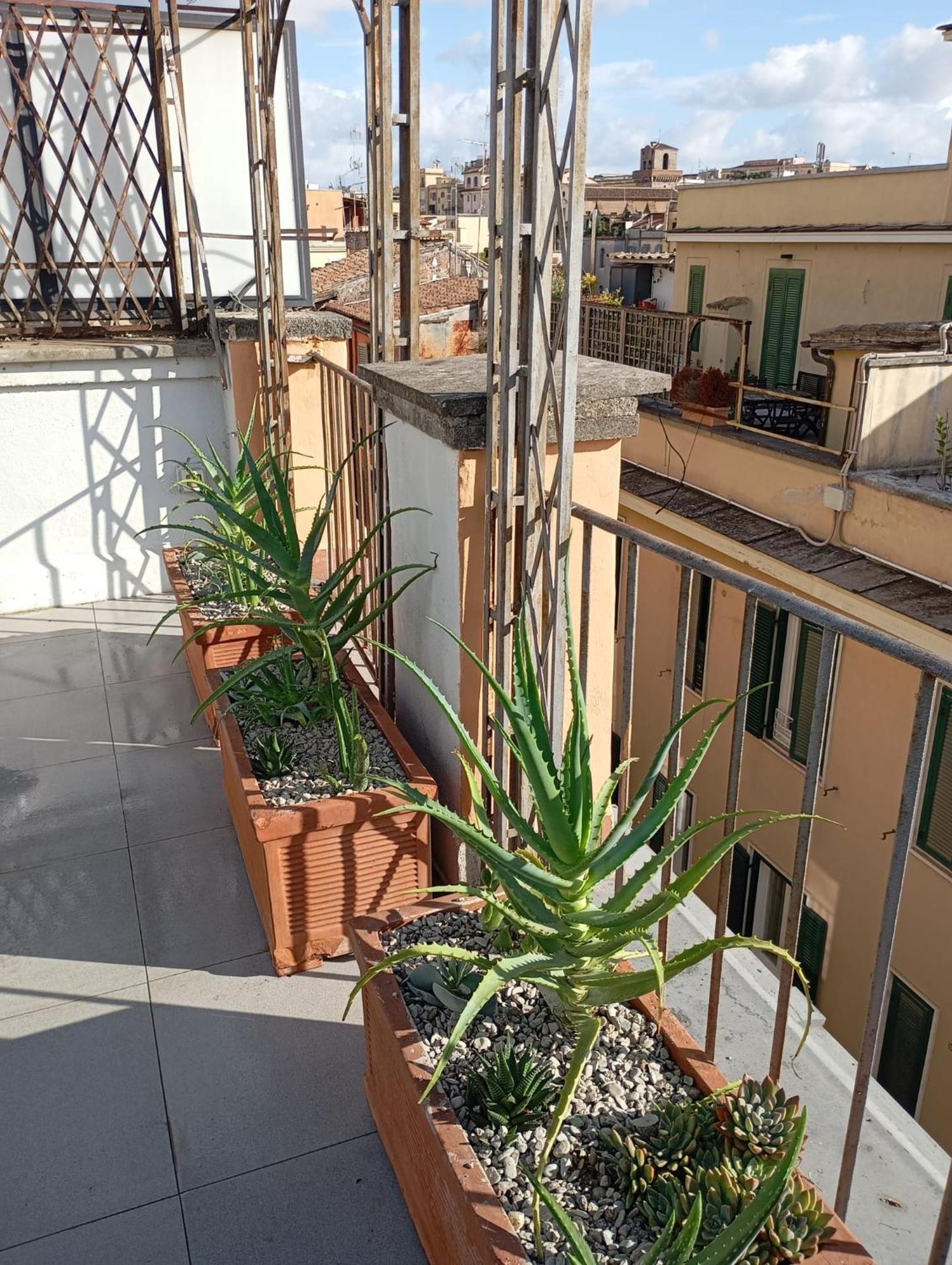 Colosseum Exclusive Duplex Рим Экстерьер фото
